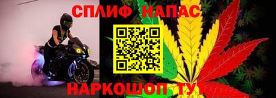 СК Новокубанск