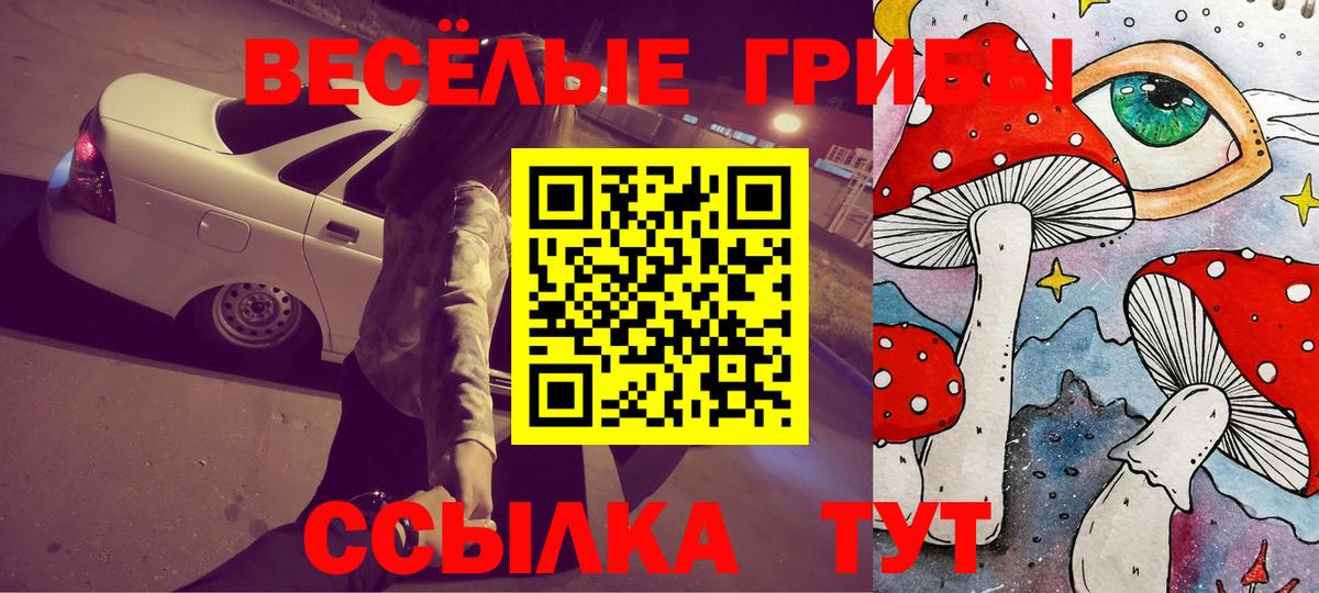 Галлюциногенные грибы GOLDEN TEACHER Томск